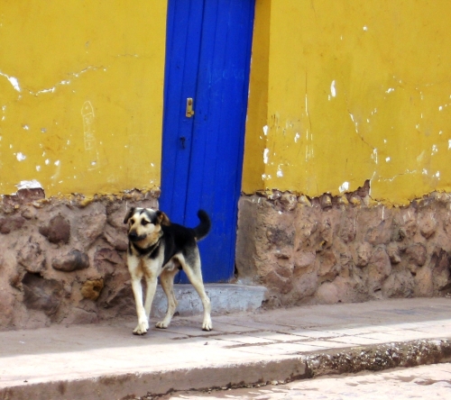 Inspiration for the short story, The Dog Against the Yellow Wall